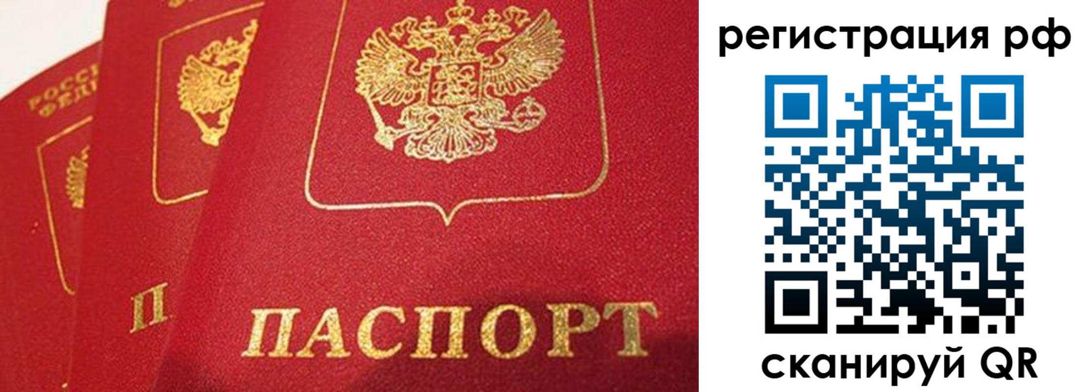 прописка поиск в Звенигороде